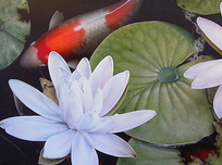 Terry Gilecki Terry Gilecki Blooming Big (AP) 